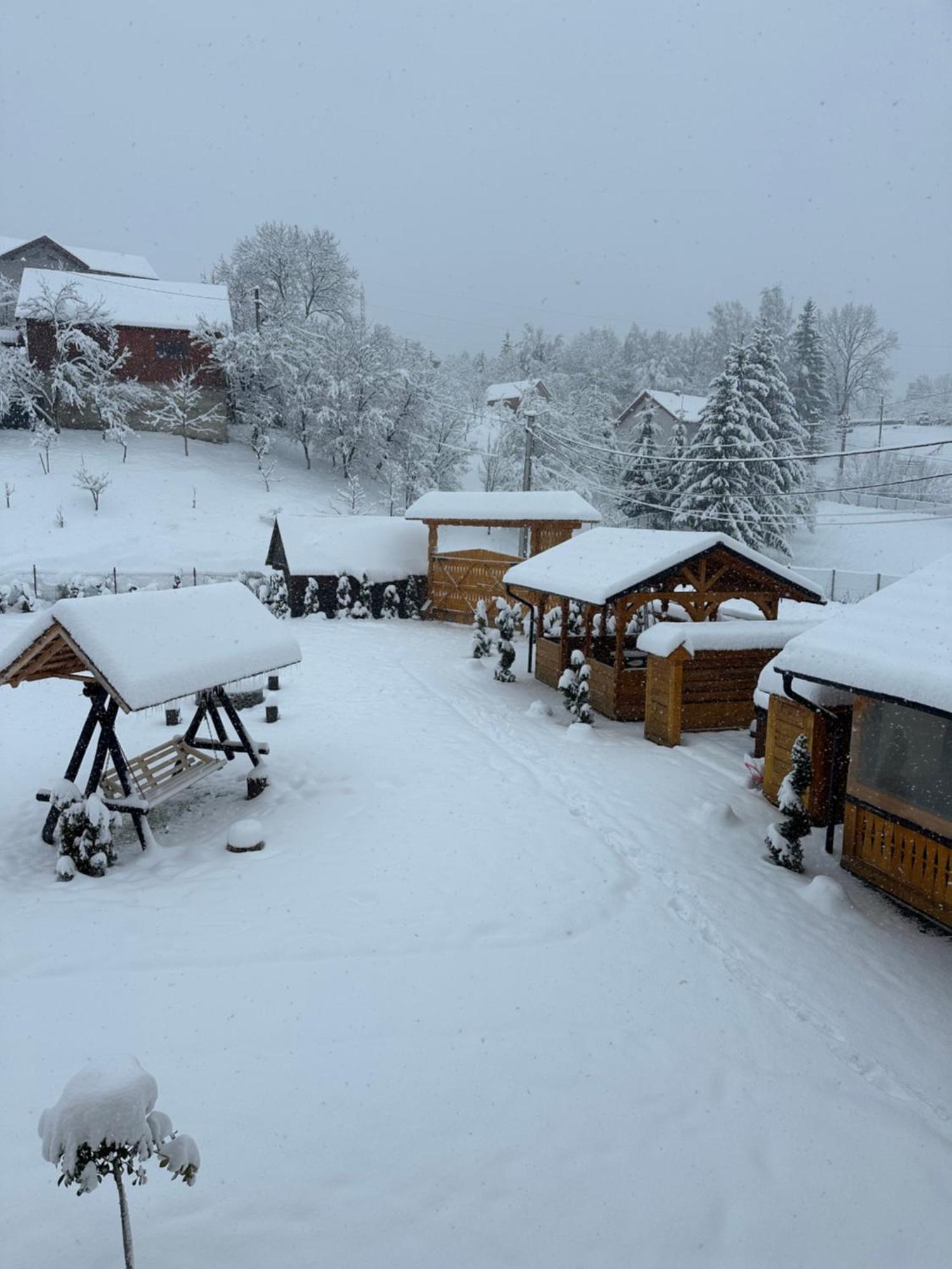 Hotel Popasul Din Vale Moisei Esterno foto